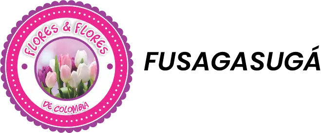 Flores y Flores Fusagasugá